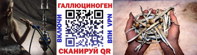 blacksprut вход  Очёр  Псилоцибиновые грибы MAGIC MUSHROOMS 